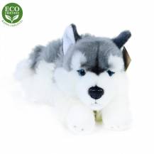 Plyšový pes Husky 30cm