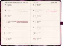 Diář Planbook týdenní 13x21 Liška