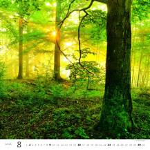 Nástěnný kalendář Forest/Wald/Les