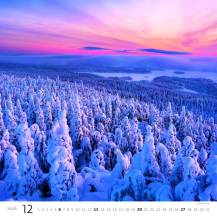 Nástěnný kalendář Forest/Wald/Les