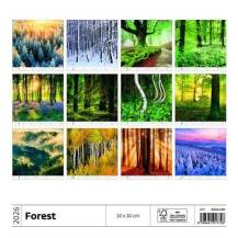 Nástěnný kalendář Forest/Wald/Les