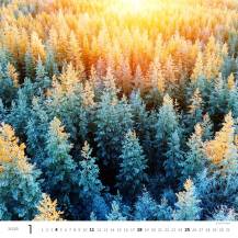 Nástěnný kalendář Forest/Wald/Les