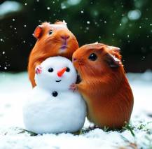 Nástěnný kalendář Little Fun 30x30cm