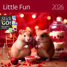 Nástěnný kalendář Little Fun 30x30cm
