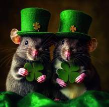 Nástěnný kalendář Little Fun 30x30cm