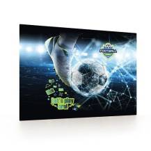 Podložka na stůl psací 60x40 Fotbal