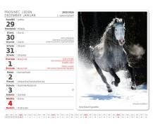 Stolní kalendář MiniMax Koně/Kone