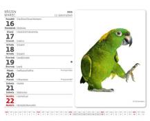 Stolní kalendář MiniMax Mazlíčci/Maznáčikovia