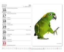 Stolní kalendář MiniMax Mazlíčci/Maznáčikovia