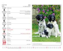 Stolní kalendář MiniMax Pejskové/Psíčkovia